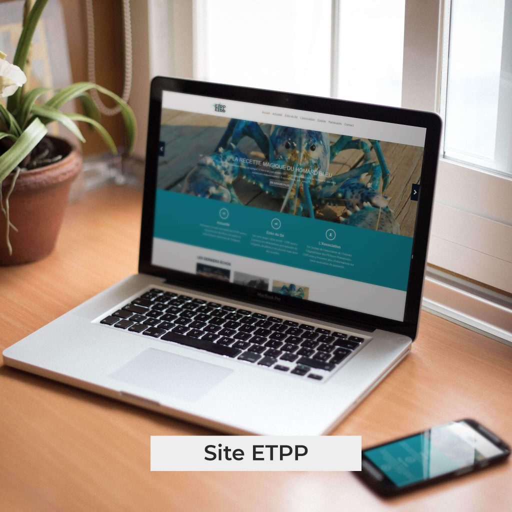 Présentation du site web ETPP